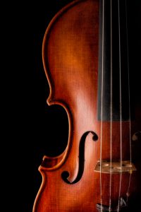 Violin close up on dark background